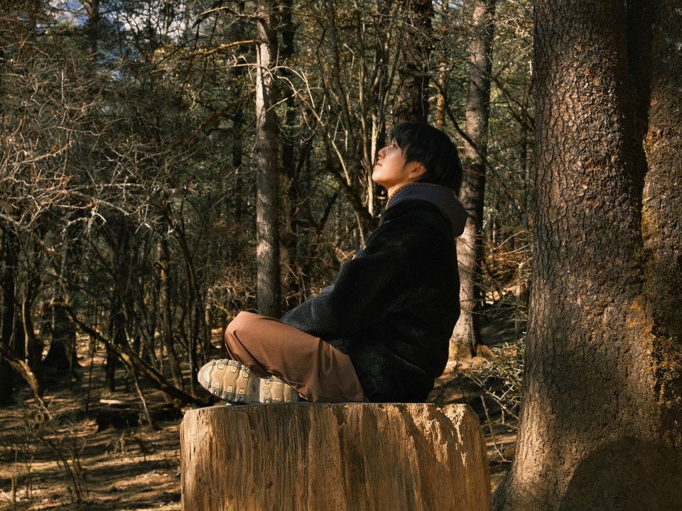 森林